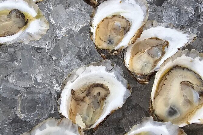 Providence Wine & Brine Boat Cruises - Final Thoughts: Who Will Appreciate This Tour?