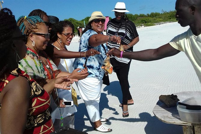 Providenciales Group Island Tour - Customization Options