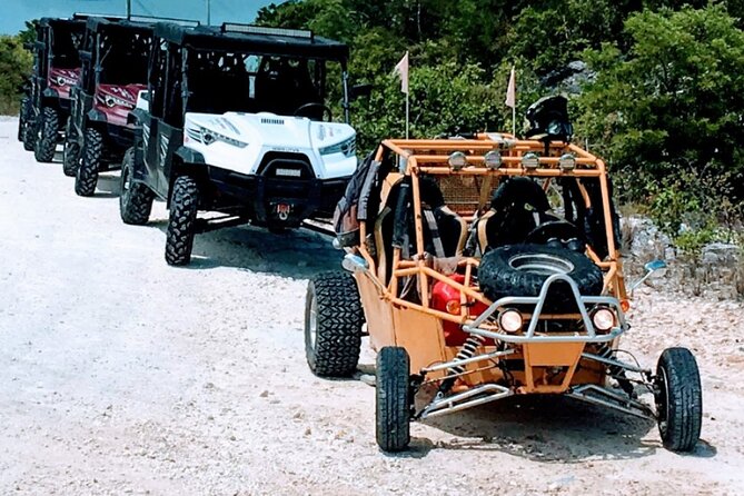 Providenciales Private Buggy Safari With Pirate Cove Visit - Pricing and Inclusions