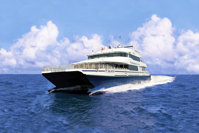 Provincetown & Cape Cod High Speed Ferry To/From Boston - Amenities and Services