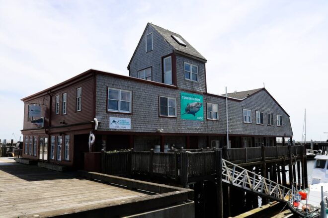 Provincetown: Shark Center Provincetown Admission Ticket - Accessibility and Amenities