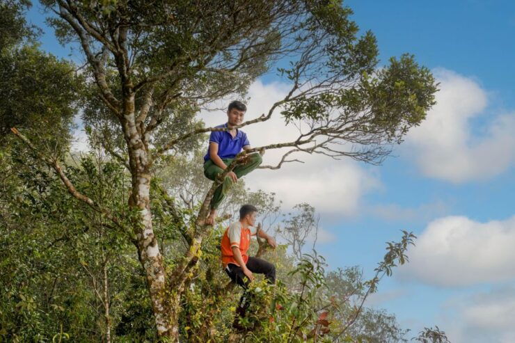Pu Luong 2 Days 1 Night - Trekking, Cloud Hunting - Activity Details and Booking