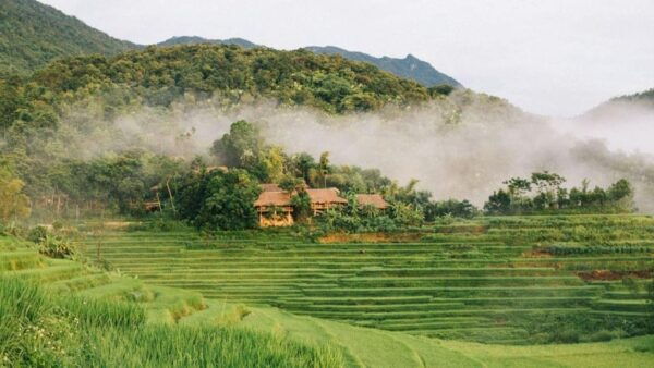 Pu Luong 2D1N Classic Tour| From Hanoi - Optional Activities Available
