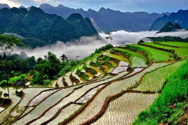 Pu Luong 2D1N Classic Tour| From Hanoi - Frequently Asked Questions