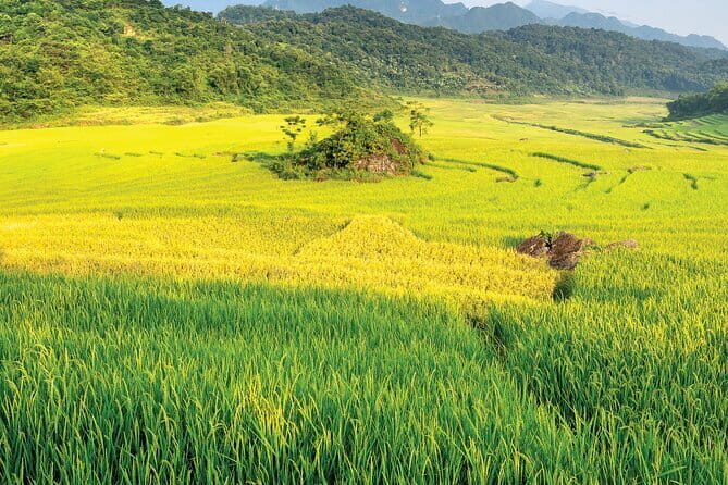 Pu Luong 3-Day Adventure: Trekking, Cycling & Local Cooking Class - Good To Know