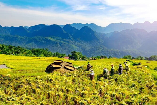 Pu Luong 3-Day Adventure: Trekking, Cycling & Local Cooking Class - FAQ
