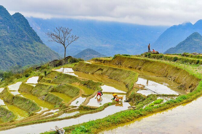 Pu Luong Afternoon Trek - Bat Cave, Rice Fields & Village Life - Final Thoughts