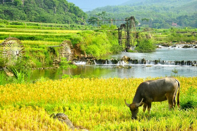 Pu Luong Excursions 3 Days 2 Nights Tour From Hanoi - Highlights of the Tour