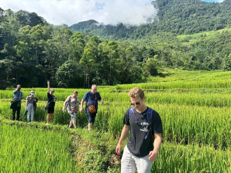 Pu Luong: Half-Day Trekking Tour with Local Guide - Who Is This Tour Best For?