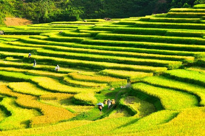 Pu Luong Nature Reserve - Mai Chau Valley 3days Tour - Accommodation Details