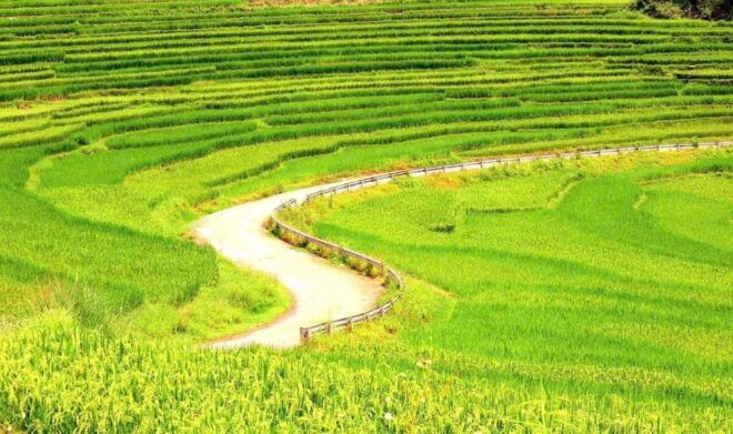 Pu Luong Nature Resrve Adventure Tour , 2 Days 1 Night - Overnight Stay