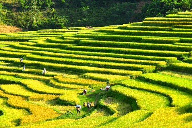 Pu Luong Nature Retreat: 2D1N Scenic Getaway from Hanoi - Who Should Consider This Tour?