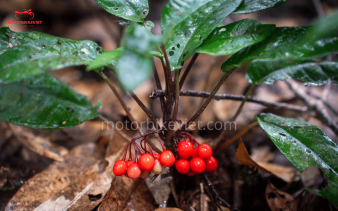 Pu Luong Trekking Tour 3 Days 2 Nights: From Motorbike Viet - Day 3 Itinerary