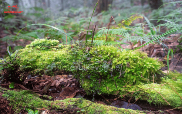 Pu Luong Trekking Tour 3 Days 2 Nights: From Motorbike Viet - Meeting Point