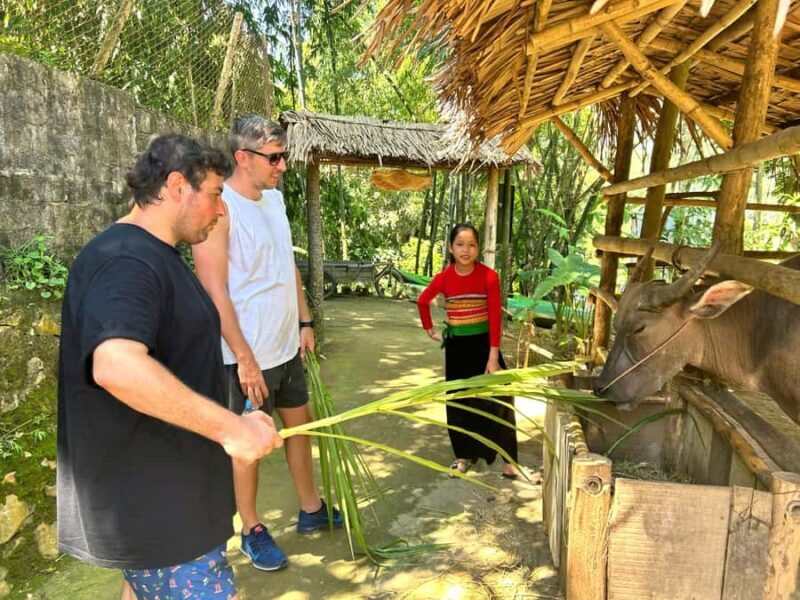 Pu Luong Village Life: Cycling, Local Cooking & Buffalo Cart - Good To Know