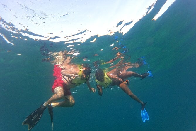 Public Guided Snorkel Tour of Fort Lauderdale Reefs - Marine Life and Snorkeling Experience