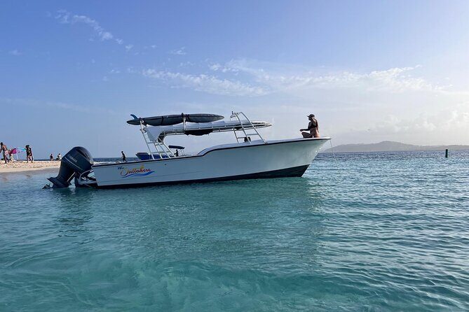 Public or Private Boat Trip to Icacos & Palomino - What Makes This Tour Stand Out?