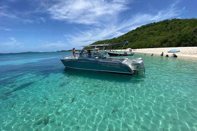 Public or Private Boat Trip to Icacos & Palomino - Practical Considerations