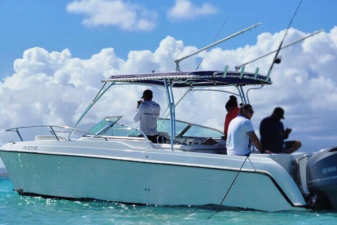 Public or Private Boat Trip to Icacos & Palomino - FAQ