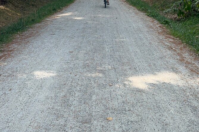 Public | Small Group | Nature & Wildlife Tour Rail Trail| 2-2.5hr - An In-Depth Look at the Portsmouth Rail Trail Bike Tour