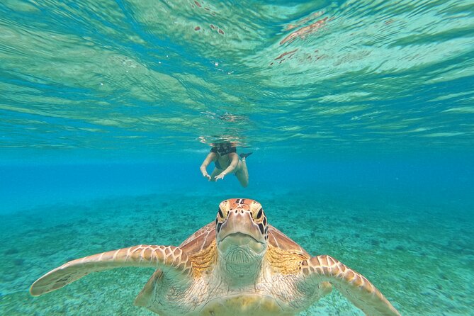 Public Snorkeling 3 Islands - Snorkeling Itinerary for Gili Trawangan