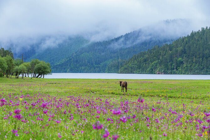Pudacuo White Water Terrace and Tiger Leaping Gorge Private Tour - What Reviewers Say