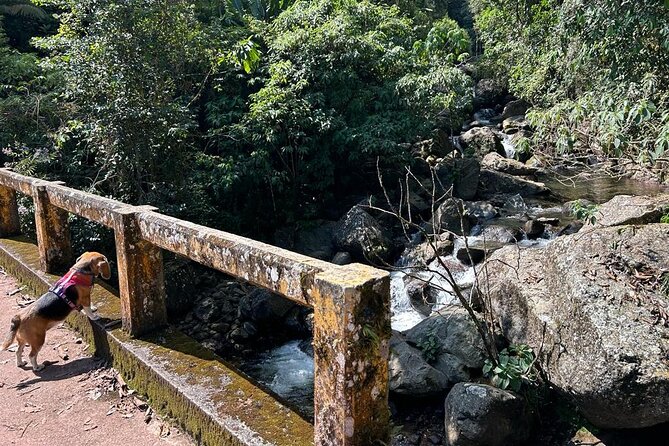 Puddles and Waterfalls - Location Details