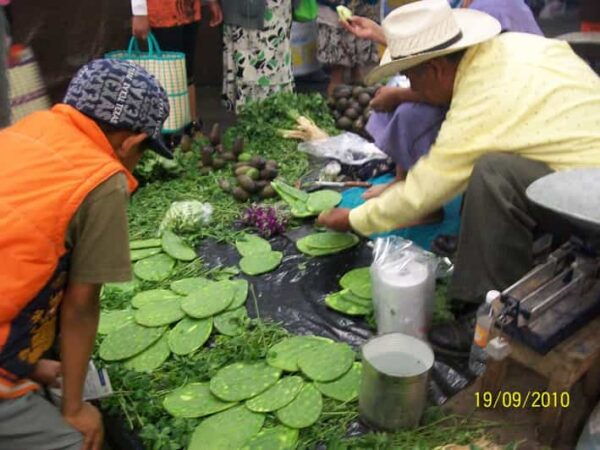 Puebla: 5-Hour Culinary Tour With Tastings - Reservation Details