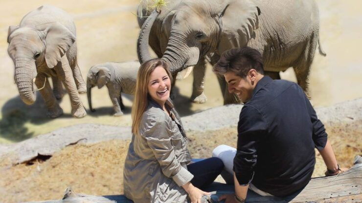 Puebla Africam Safari Park, Live an Unforgettable Adventure! - Visitor Guidelines and Essential Items