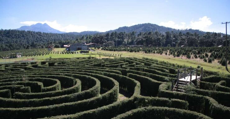 Puebla: Alpinia Mountain and Nature Park - Good To Know