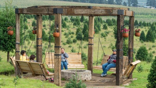 Puebla: Alpinia Mountain and Nature Park - Booking and Pricing