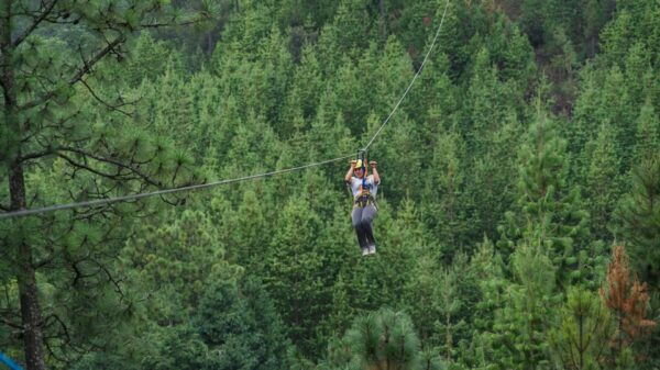 Puebla: Alpinia Mountain and Nature Park - Weather Considerations