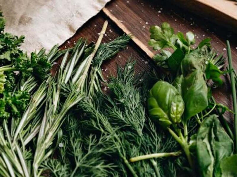 Puebla: Ancestral Aztec Temazcal steam bath ceremony - What is the Aztec Temazcal Ceremony?