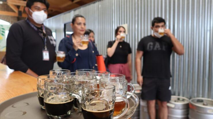 Puebla: Cholula Craft Beer Tour by Tram - Activity Details
