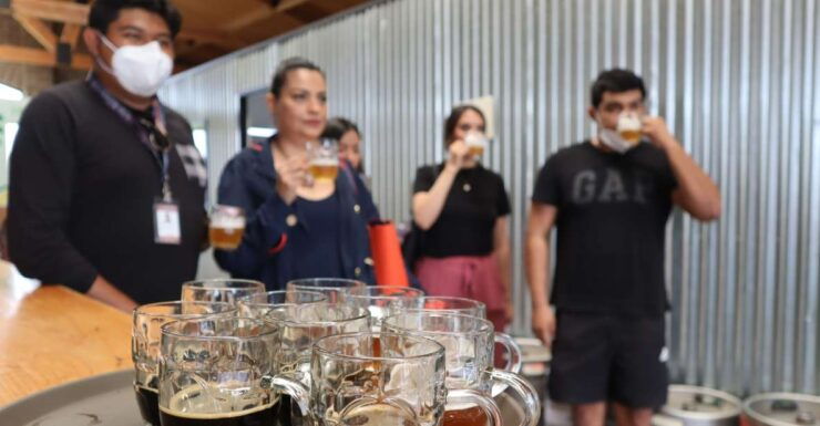 Puebla: Cholula Craft Beer Tour by Tram - Experience Highlights