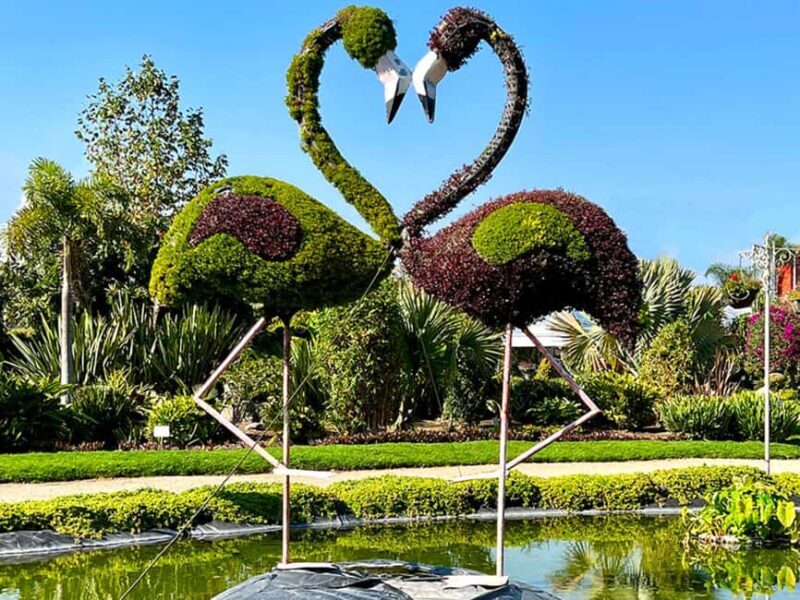 Puebla: Magical Atlixco, Volcano, Unique Garden & Plant Maze - Puebla: Magical Atlixco, Volcano, Unique Garden & Plant Maze — A Deep Dive