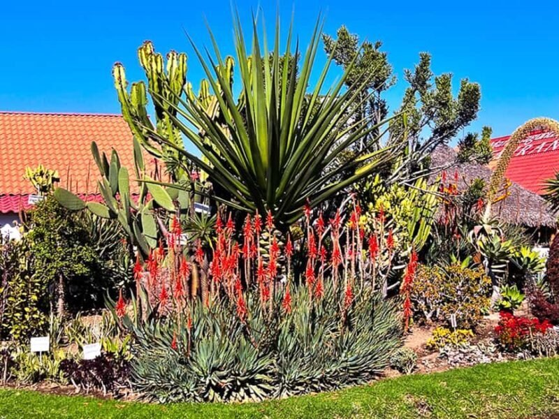 Puebla: Magical Atlixco, Volcano, Unique Garden & Plant Maze - Who Is This Tour Perfect For?