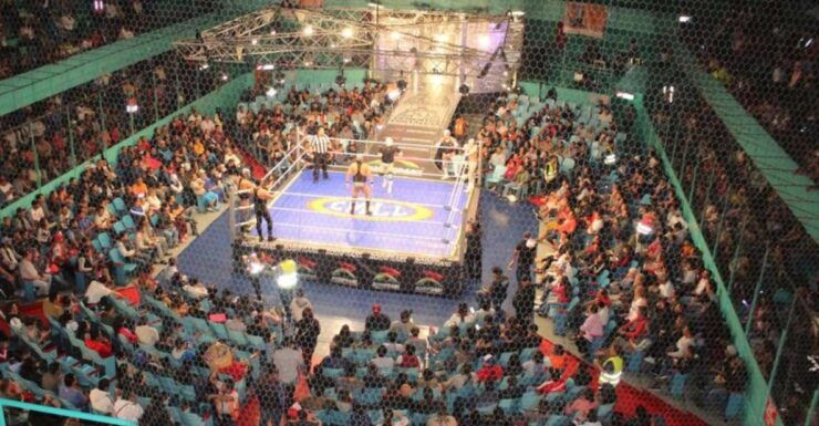 Puebla: VIP Mexican Wrestling Experience - Activity Overview and Logistics