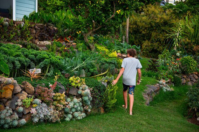 Pueo Farm Private Tour - Upcountry Maui Hawaii - Practical Details and What to Expect