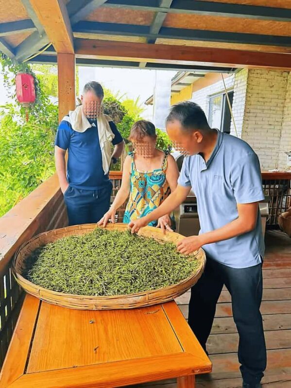 Puer Tea Picking and Tasting | 6 Hour Morning Trip - The Sum Up: An Authentic Taste of Puer Tea