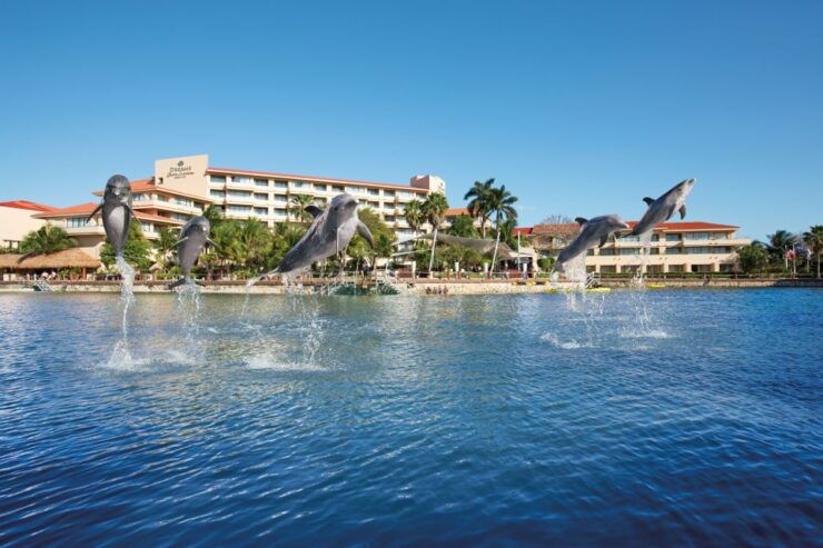 Puerto Aventuras: Amazing Dolphin Encounter With Lunch - Ticket Details for the Dolphin Encounter