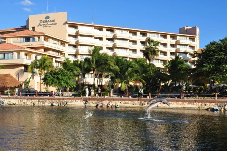 Puerto Aventuras: Amazing Dolphin Encounter With Lunch - Experience Highlights at Puerto Aventuras