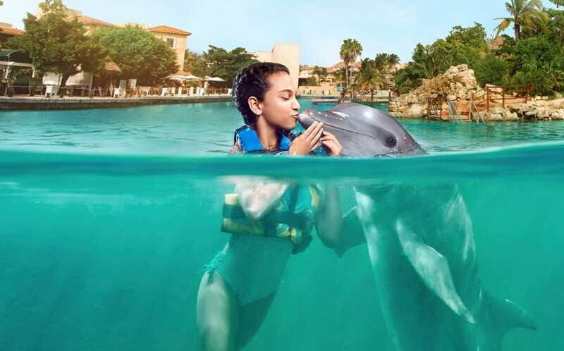 Puerto Aventuras: Dolphin and Manatee Interaction with Lunch - FAQ