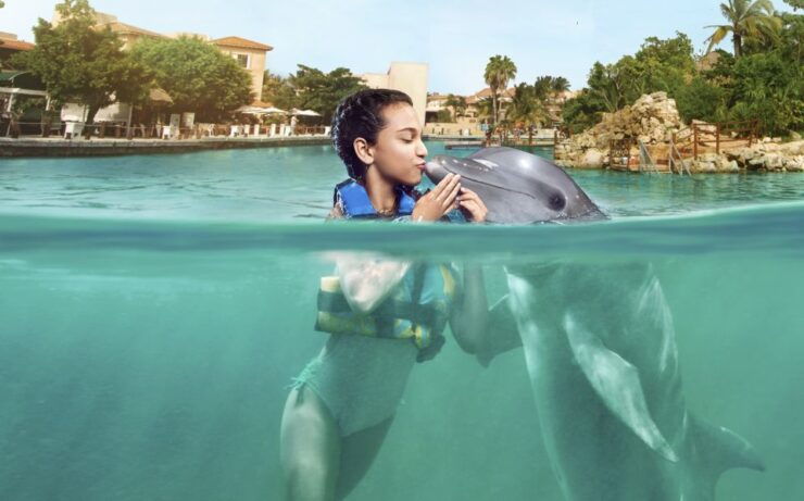 Puerto Aventuras: Dolphin Encounter With Buffet Lunch - Experience Highlights