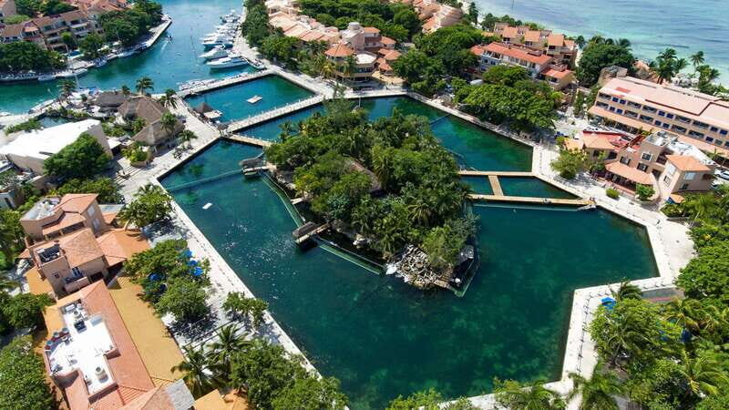 Puerto Aventuras: Dolphin & Manatee Encounter with lunch - What to Expect from the Tour