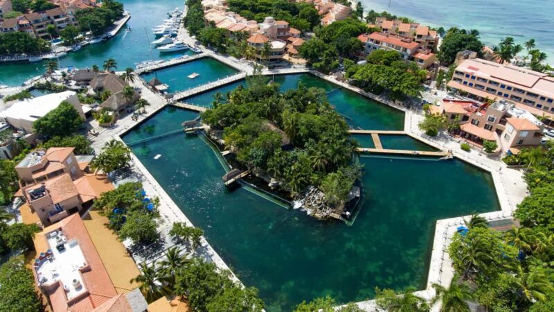 Puerto Aventuras: Dolphin & Manatee Encounter with lunch - What Past Travelers Say