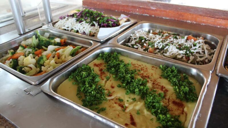 Puerto Aventuras: Dolphin & Manatee Encounter with lunch - Who Will Love This Experience?