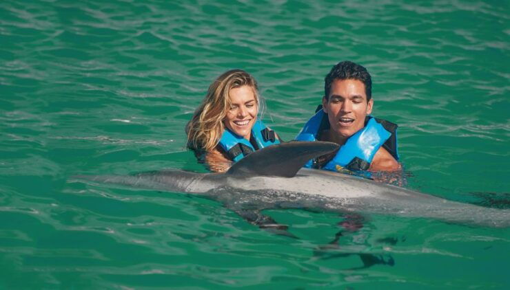 Puerto Aventuras: Dolphin Royal Swim & Kayaking With Buffet - Experience Highlights