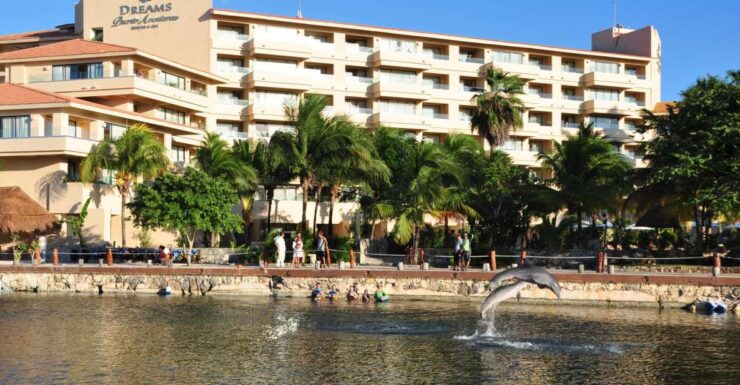 Puerto Aventuras: Dolphin Swim Adventure - Experience