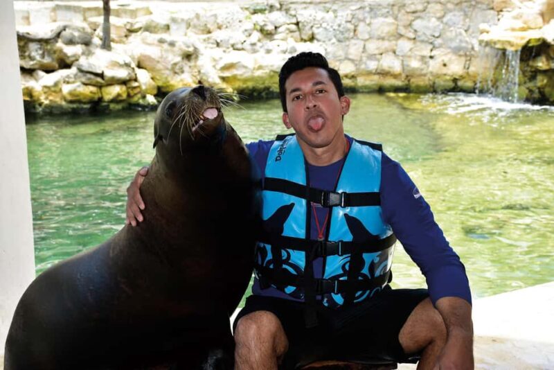 Puerto Aventuras: Dolphins, Manatee & Sea Lion interaction - Good To Know